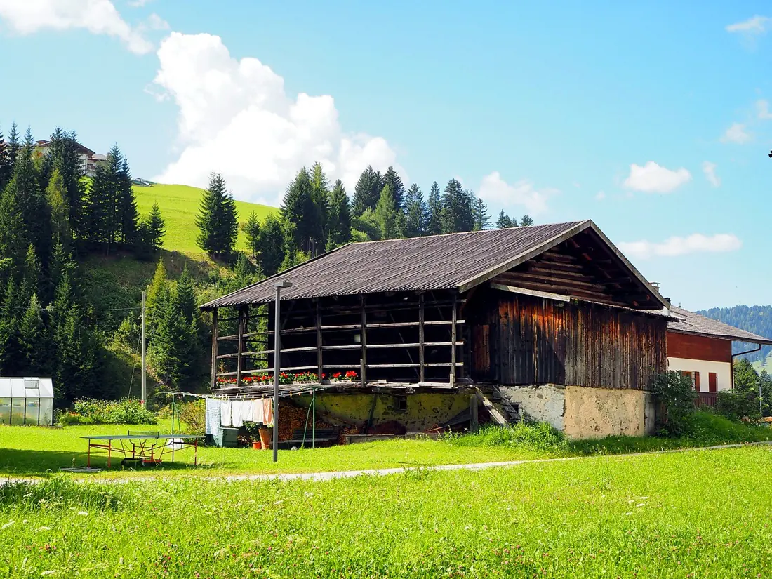 Sommer
